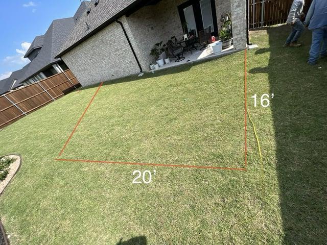 Before image