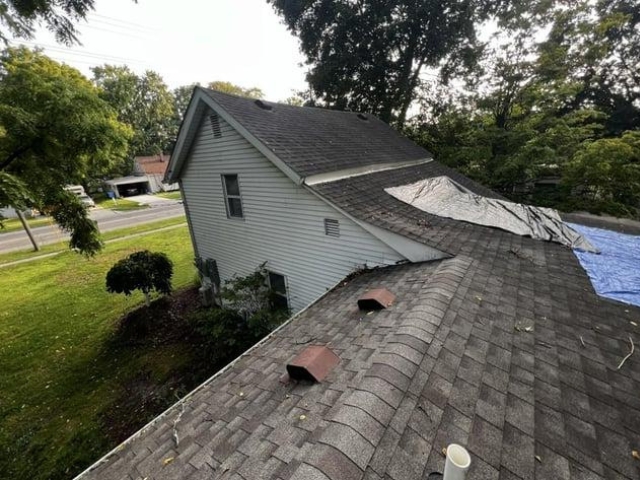 Before image