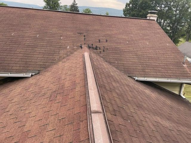 Before image