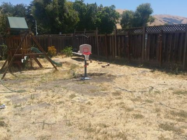 Before image
